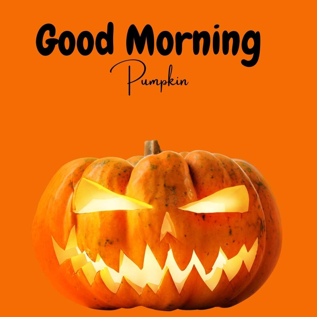 Good Morning Pumpkin Images