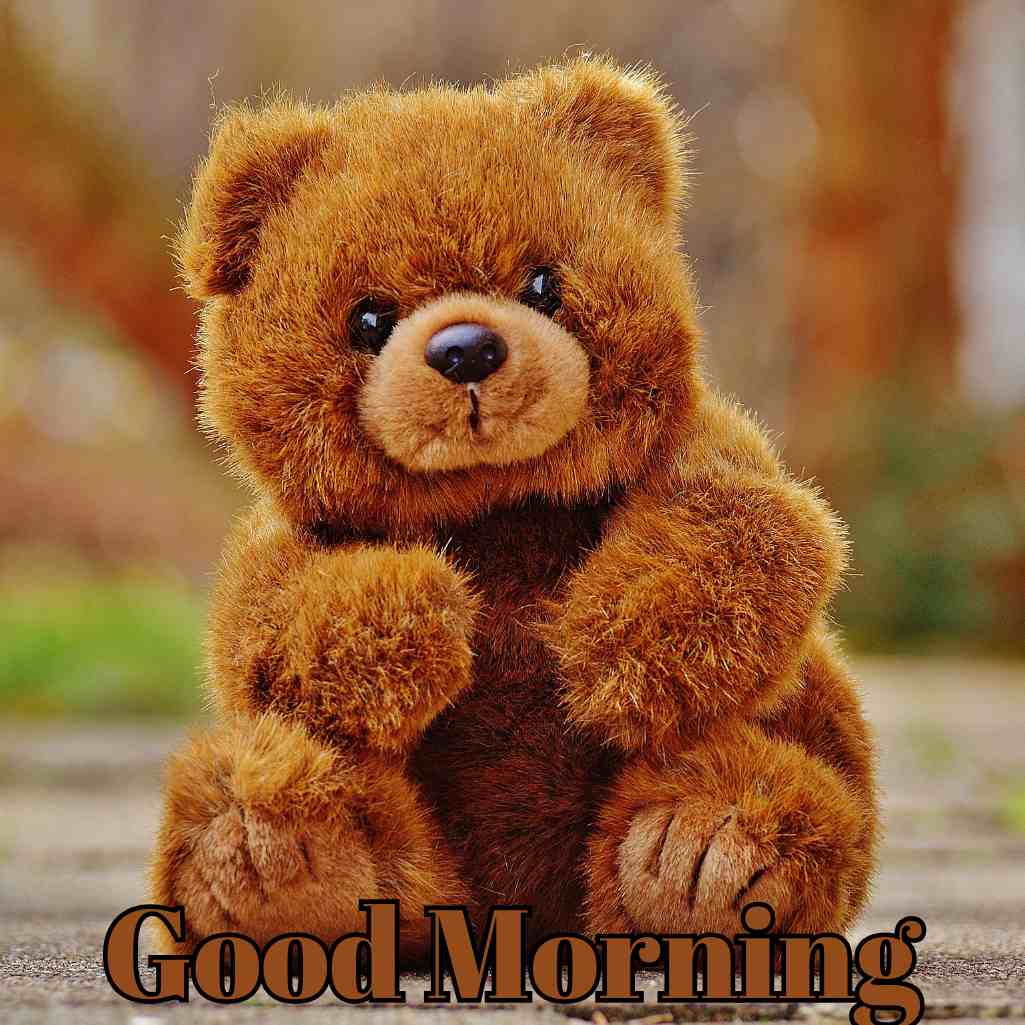  Good Morning Teddy Bear Images