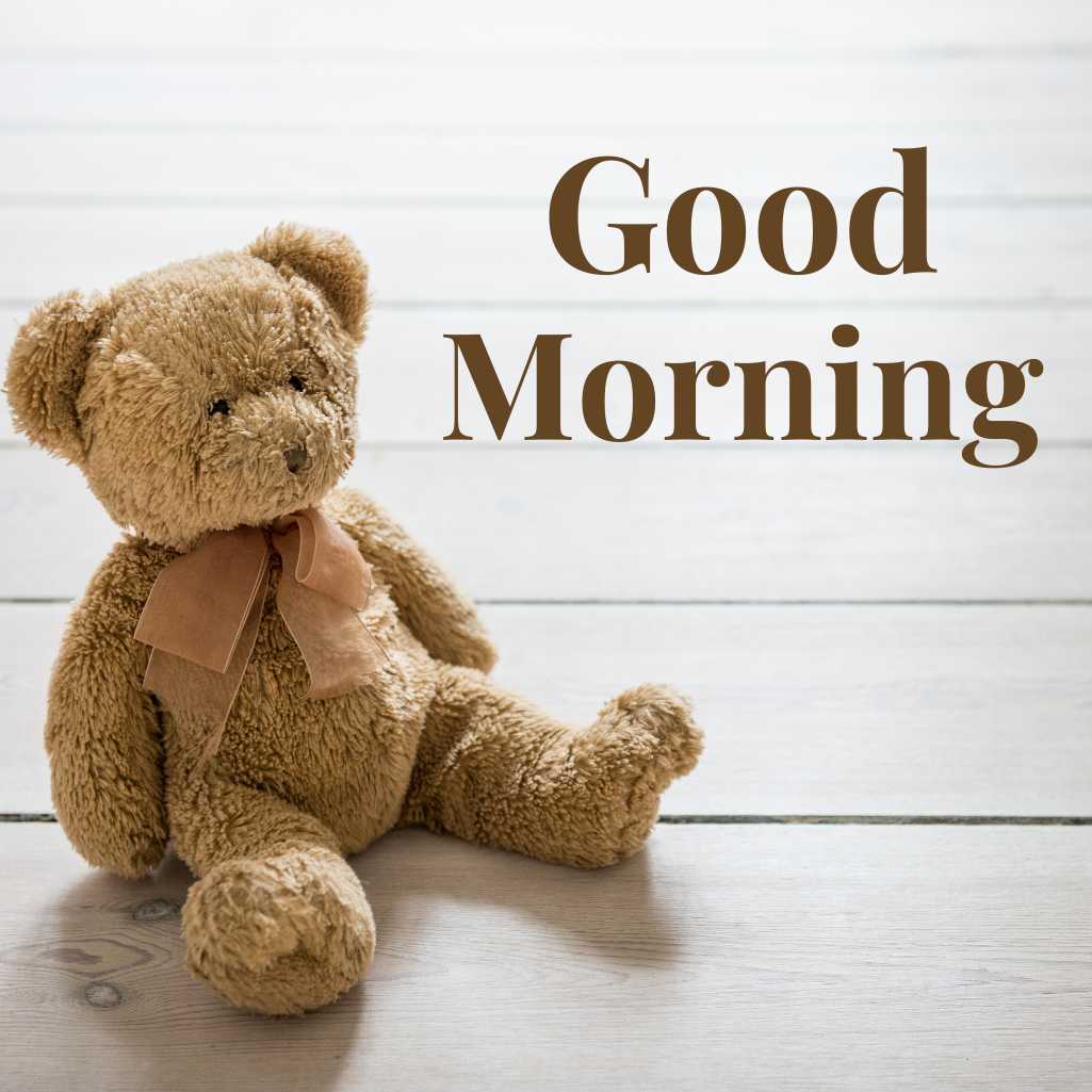  Good Morning Teddy Bear Images