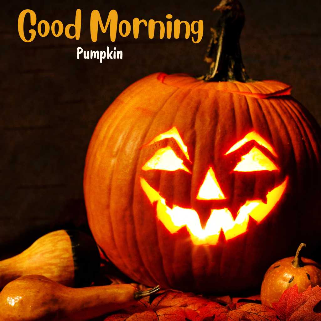 Good Morning Pumpkin Images