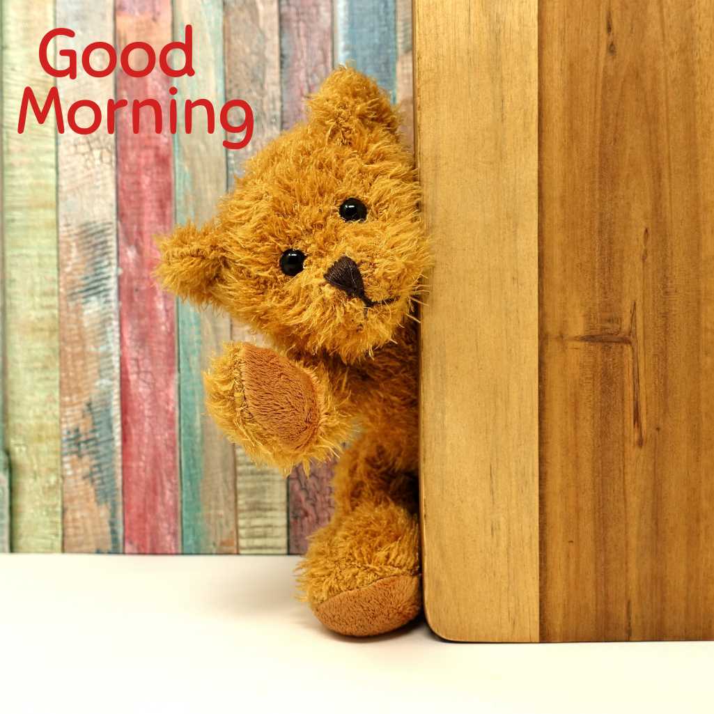  Good Morning Teddy Bear Images