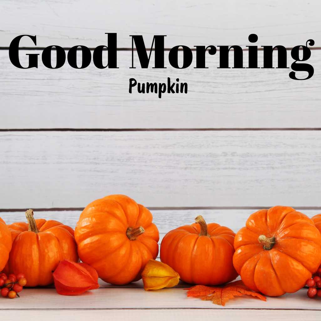 Good Morning Pumpkin Images