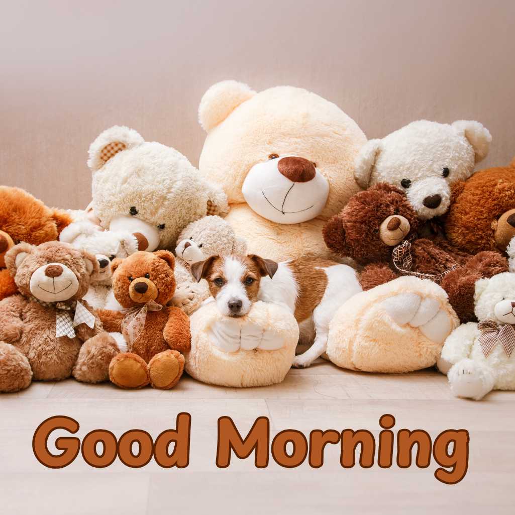  Good Morning Teddy Bear Images