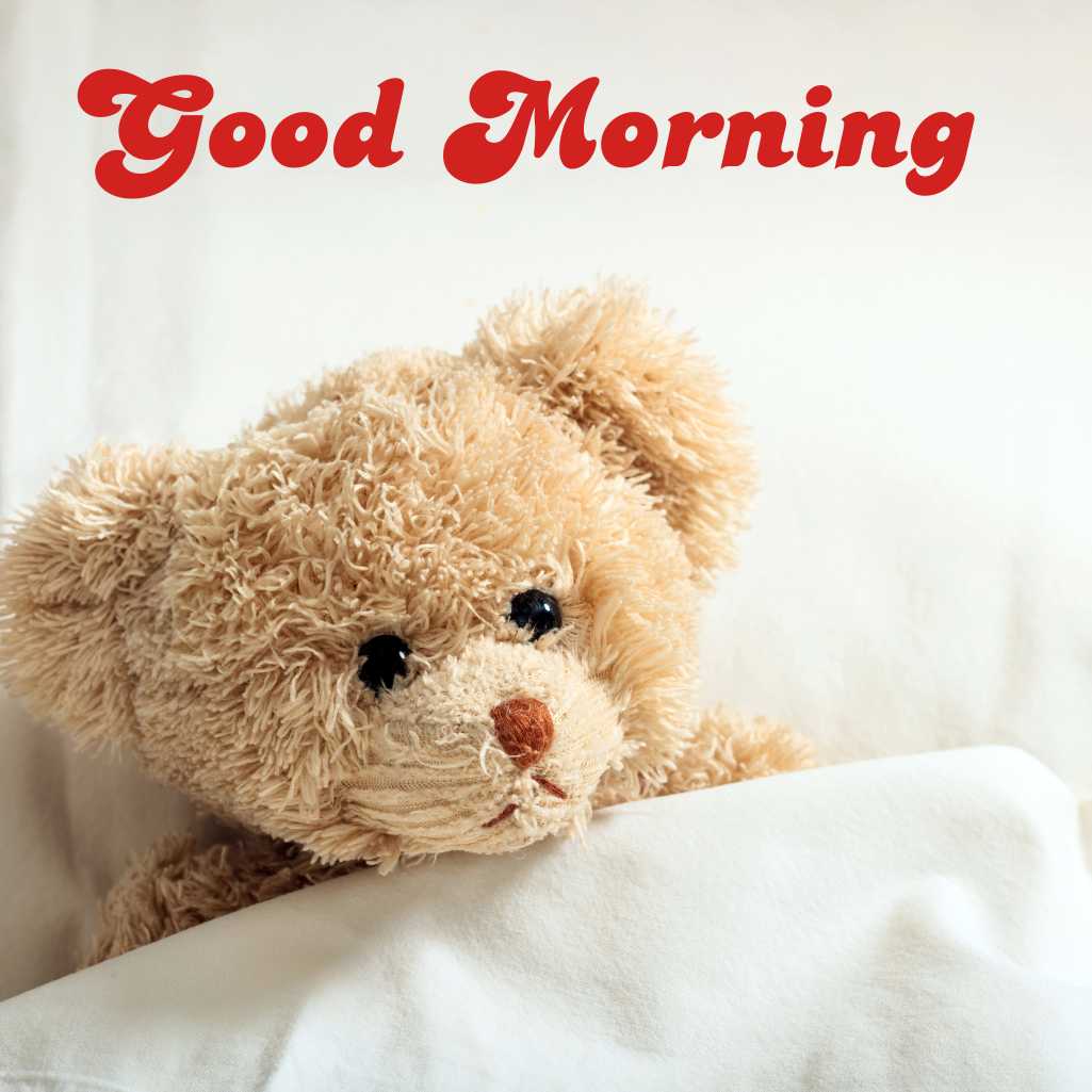  Good Morning Teddy Bear Images