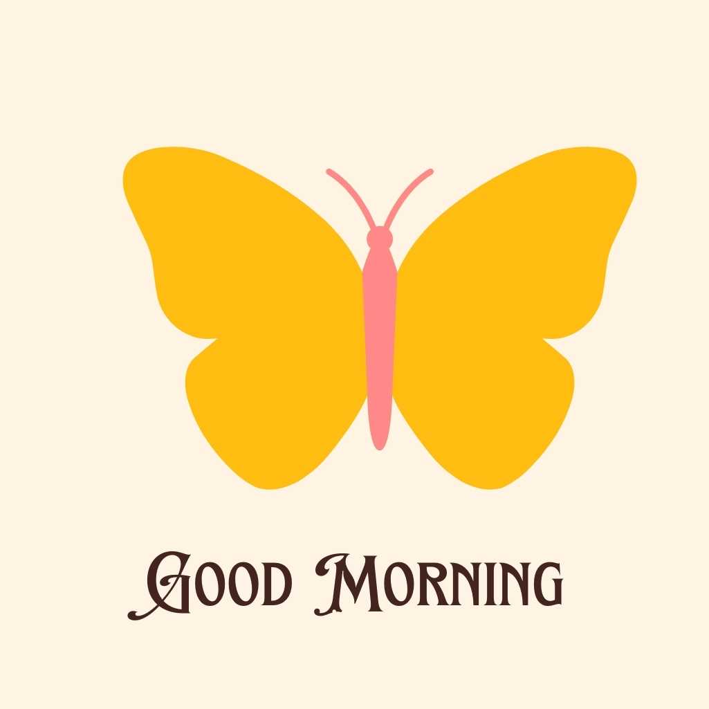 Good Morning Butterfly Images