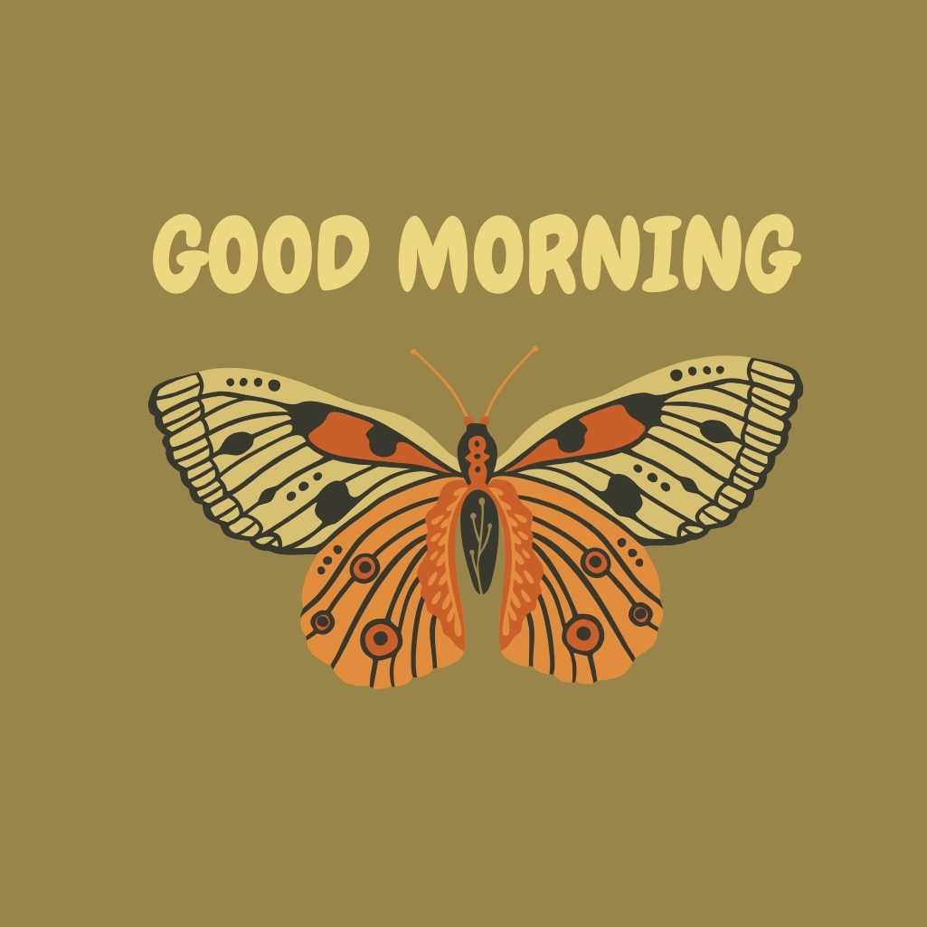 Good Morning Butterfly Images