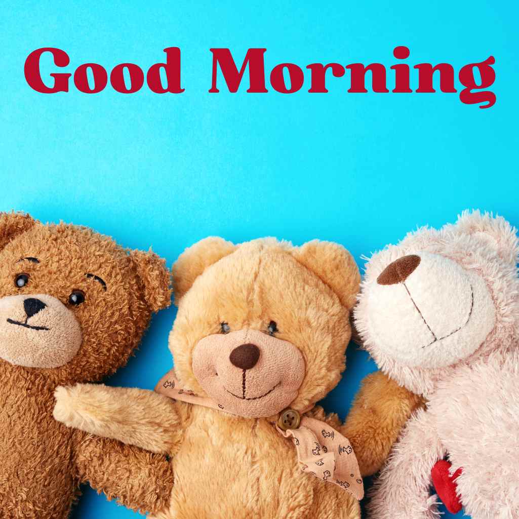  Good Morning Teddy Bear Images