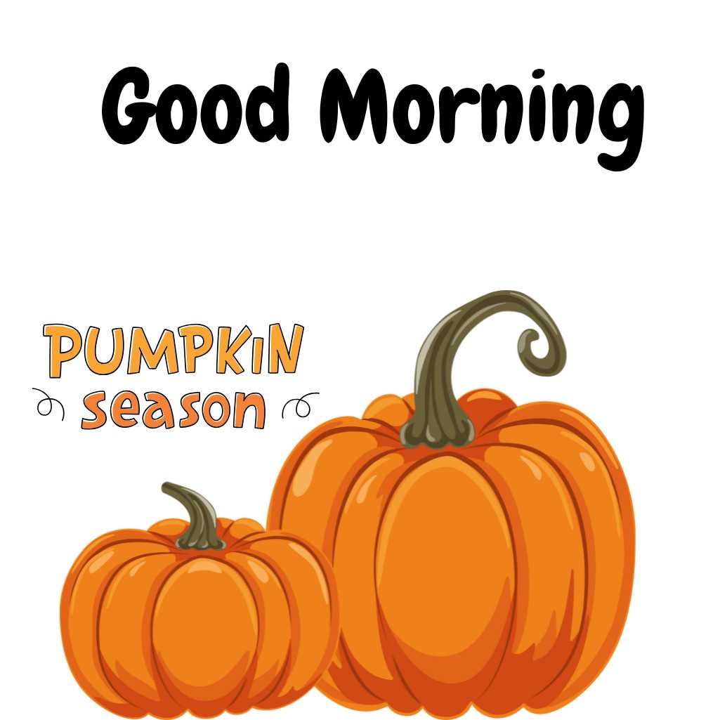 Good Morning Pumpkin Images