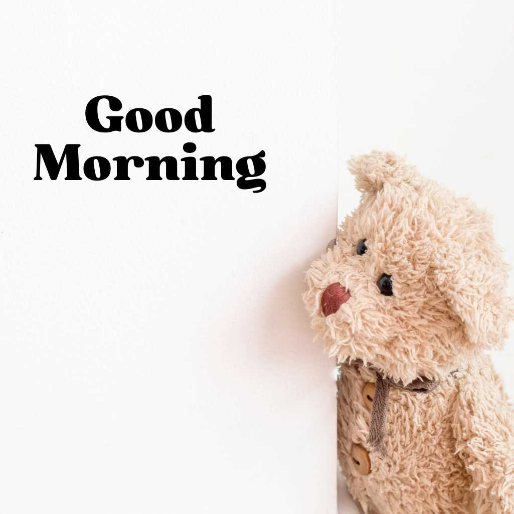  Good Morning Teddy Bear Images