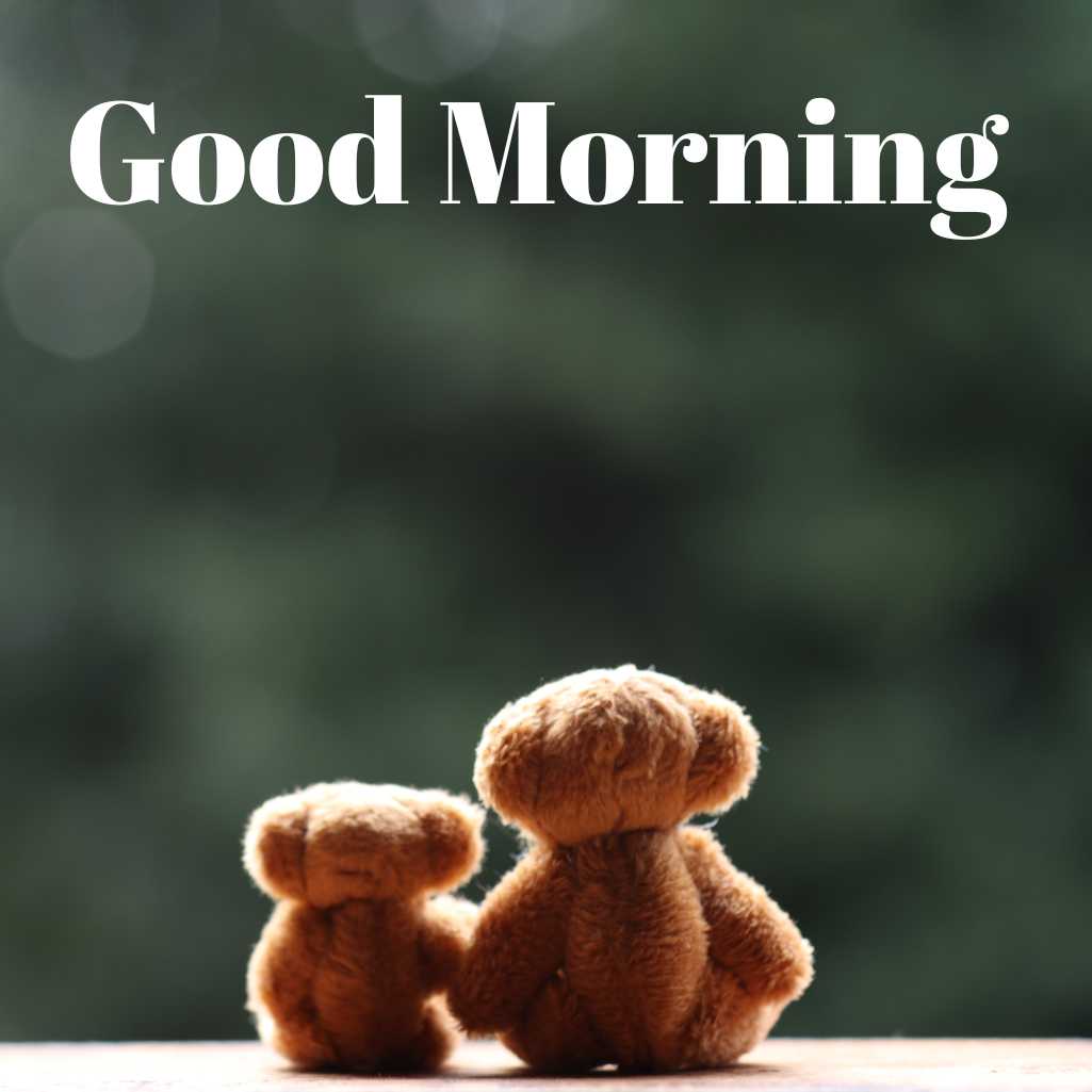  Good Morning Teddy Bear Images