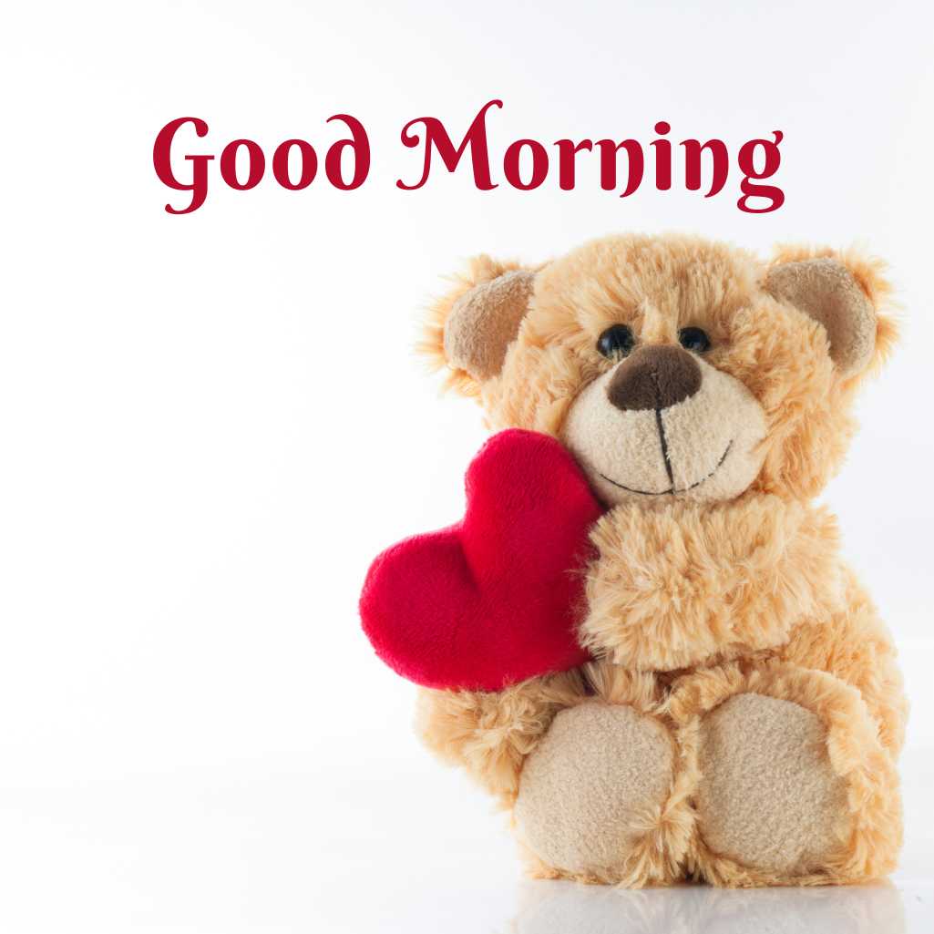  Good Morning Teddy Bear Images