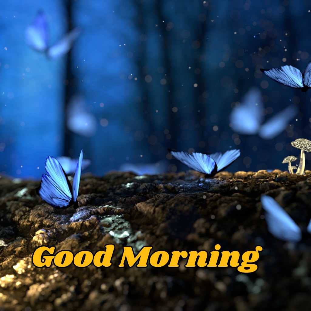 Good Morning Butterfly Images