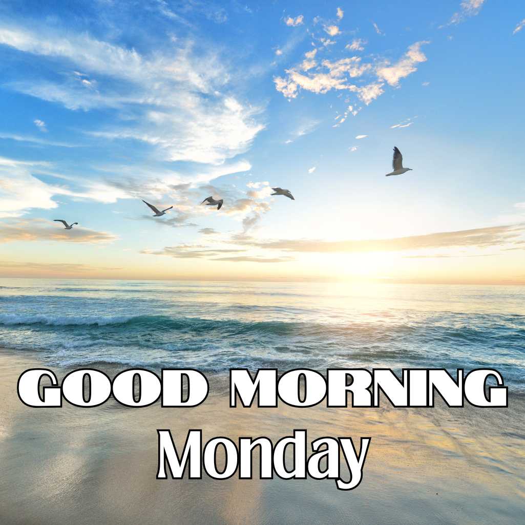 Good Morning Monday images