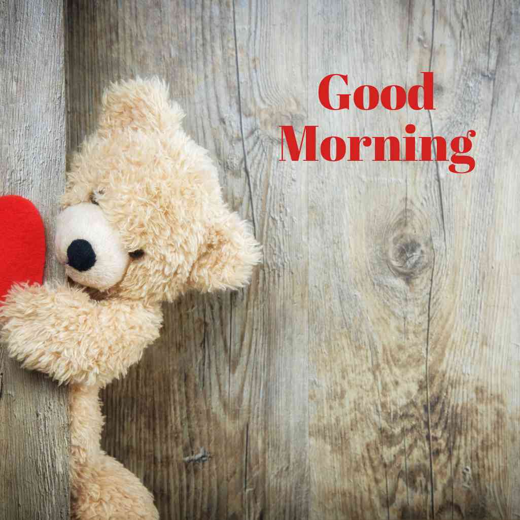  Good Morning Teddy Bear Images