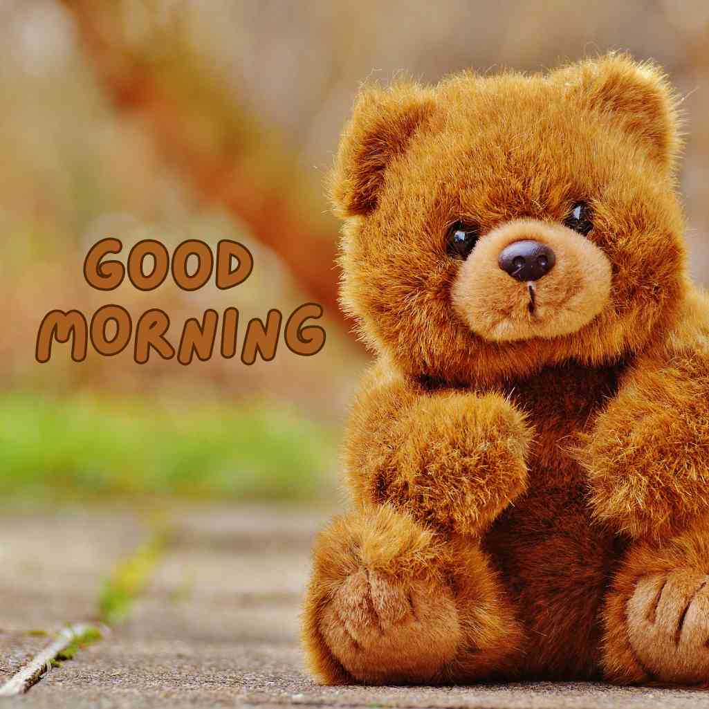  Good Morning Teddy Bear Images