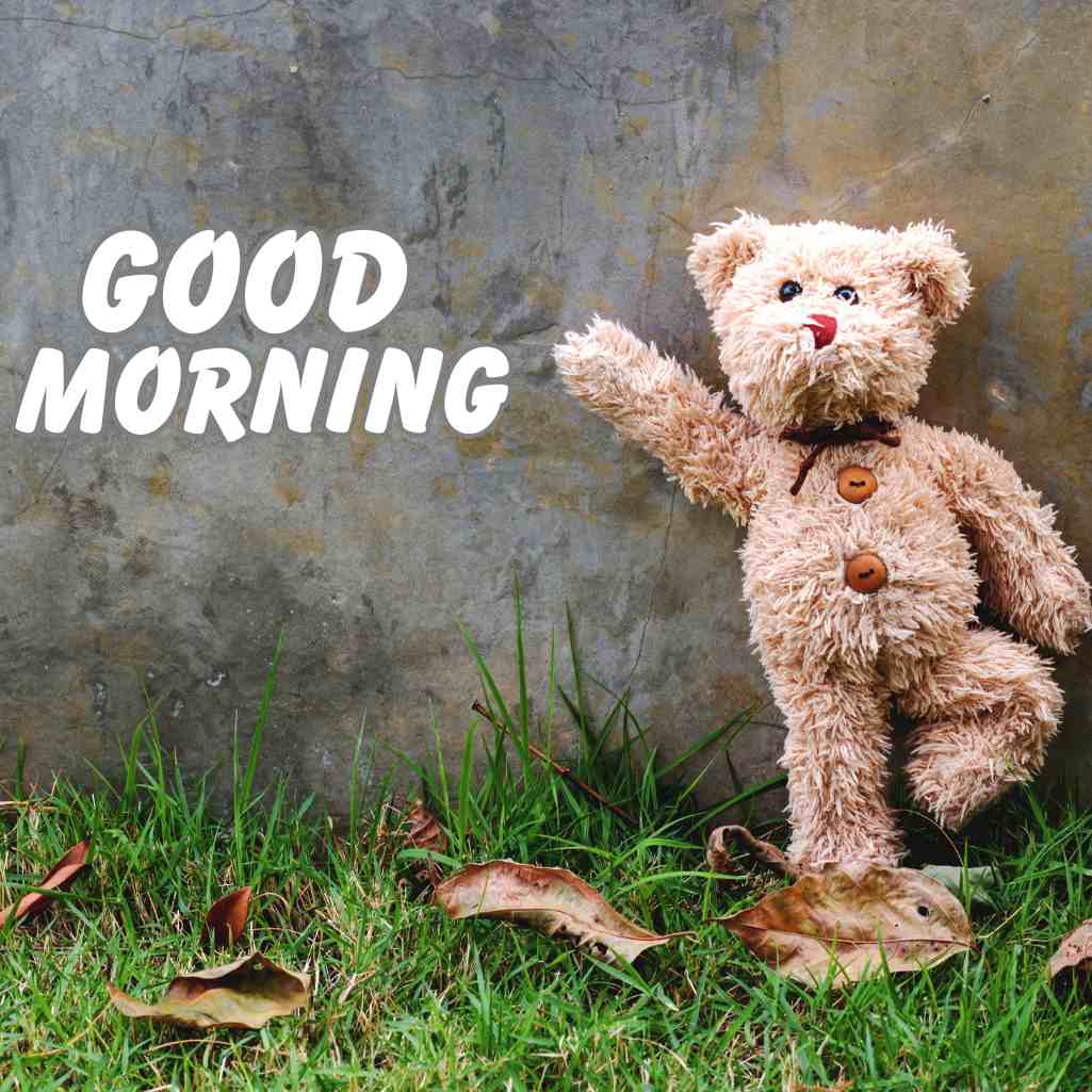  Good Morning Teddy Bear Images