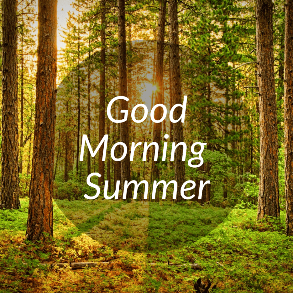 Good Morning Summer Images