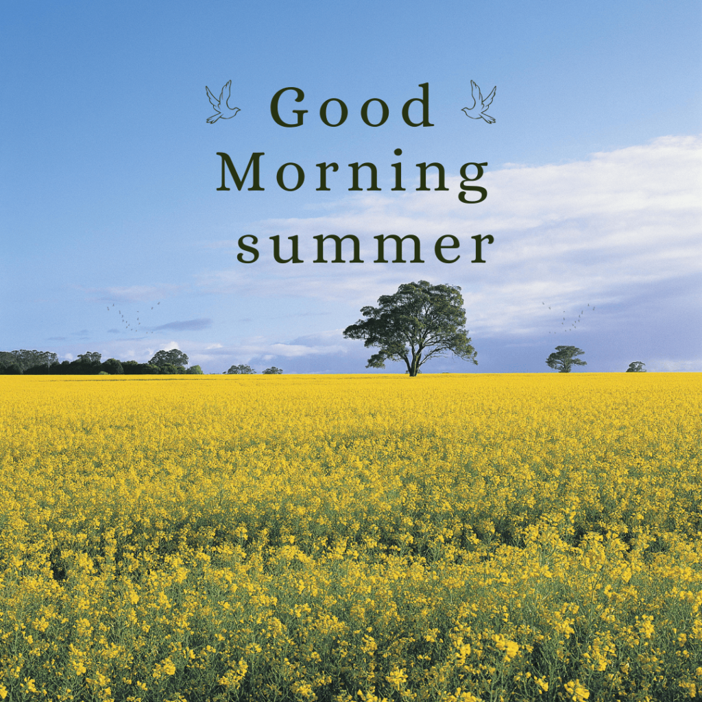 Good Morning Summer Images