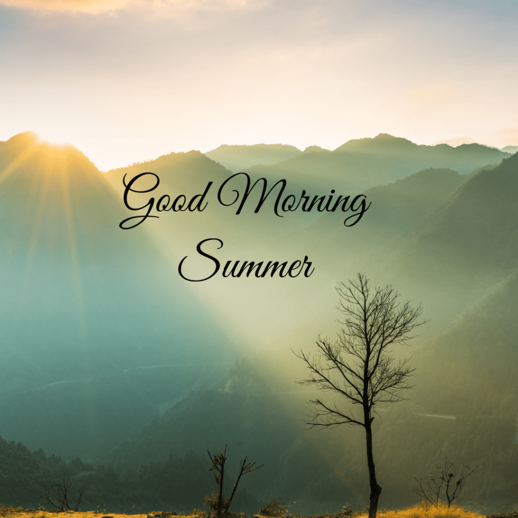 Good Morning Summer Images