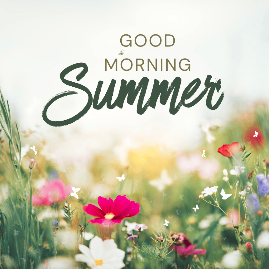 Good Morning Summer Images