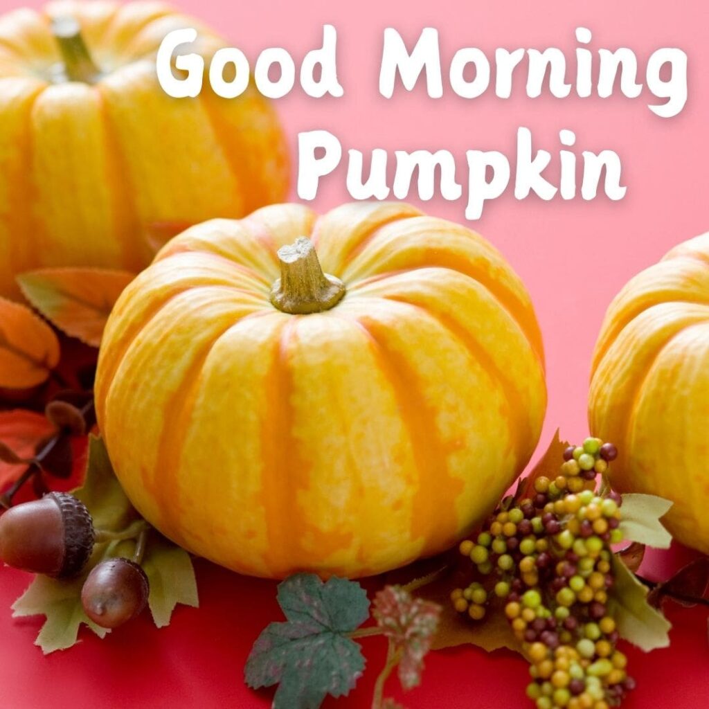 Good Morning Pumpkin Images