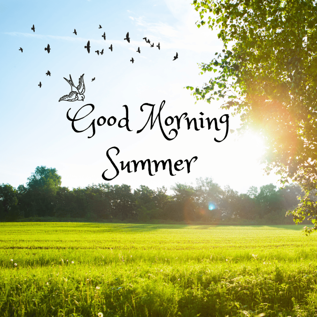 Good Morning Summer Images