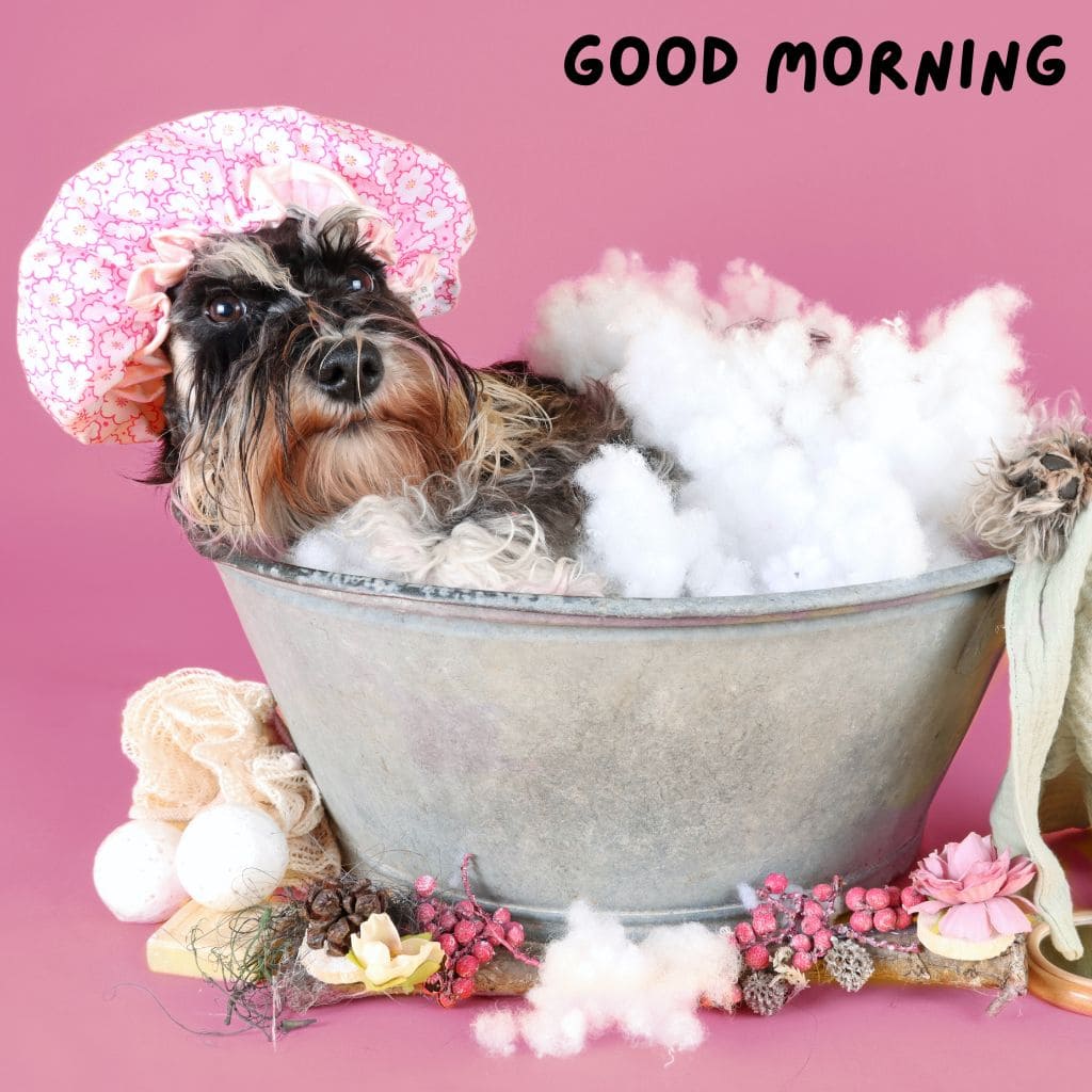 Good Morning Puppy Images