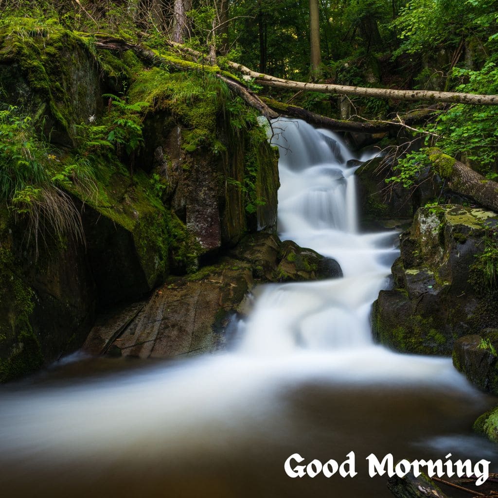 Good Morning Water Images