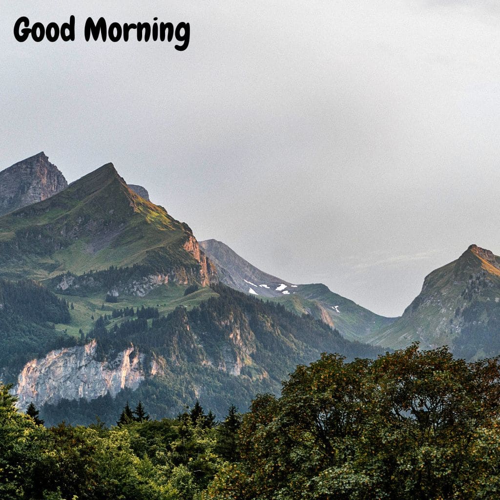 Good Morning Mountain Images