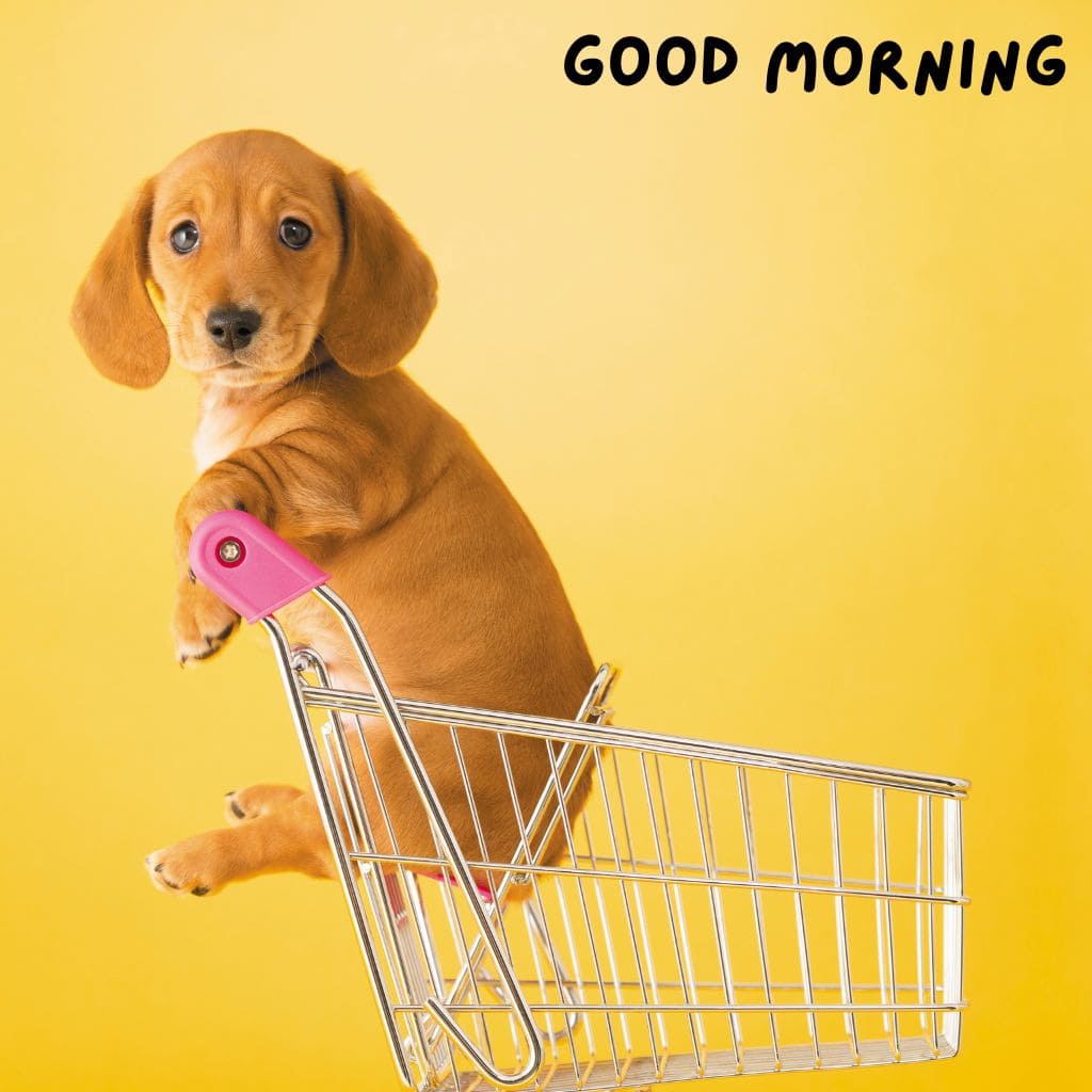 Good Morning Puppy Images