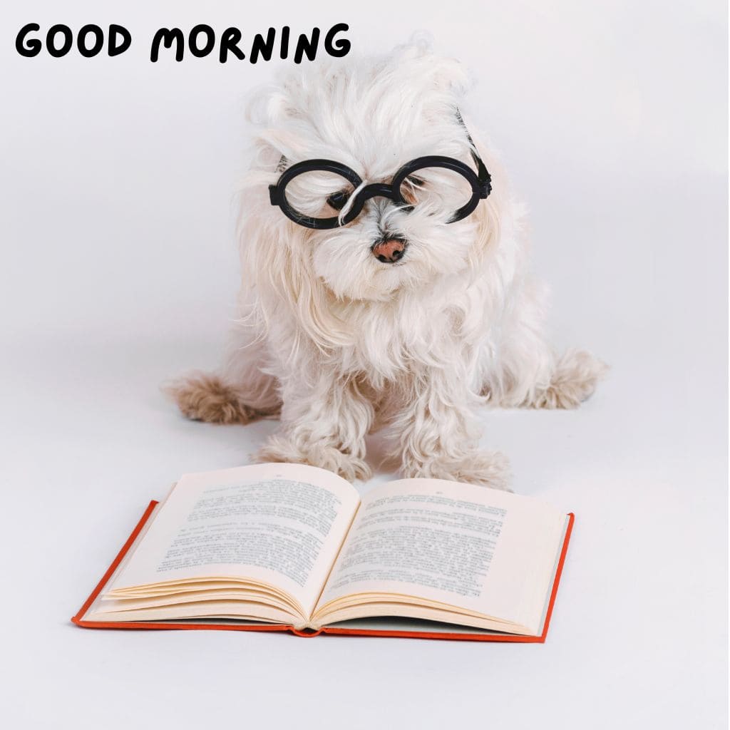 Good Morning Puppy Images