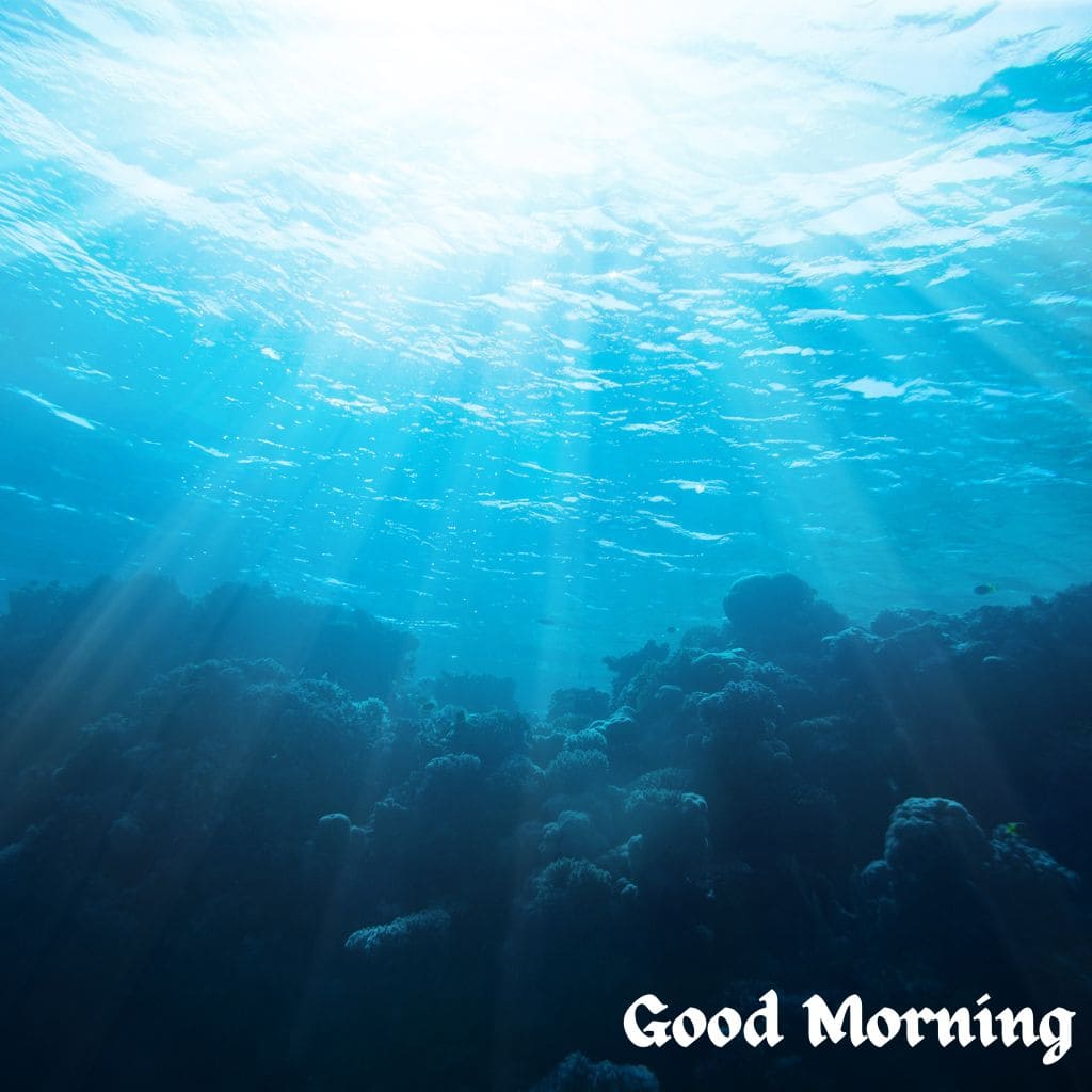 Good Morning Water Images