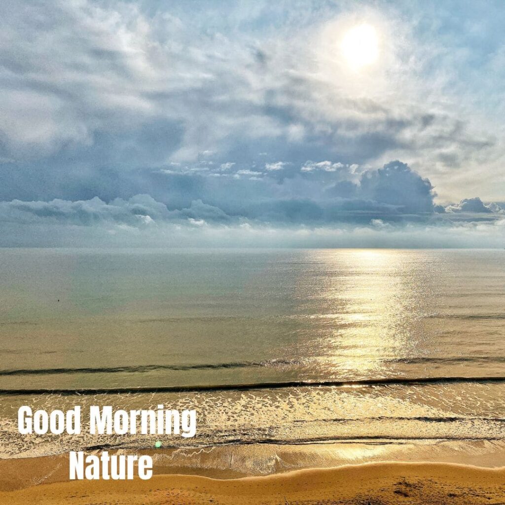 Good Morning with Nature Images