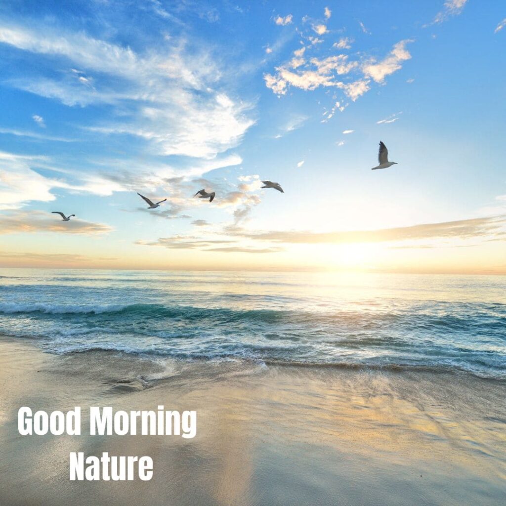 Good Morning with Nature Images