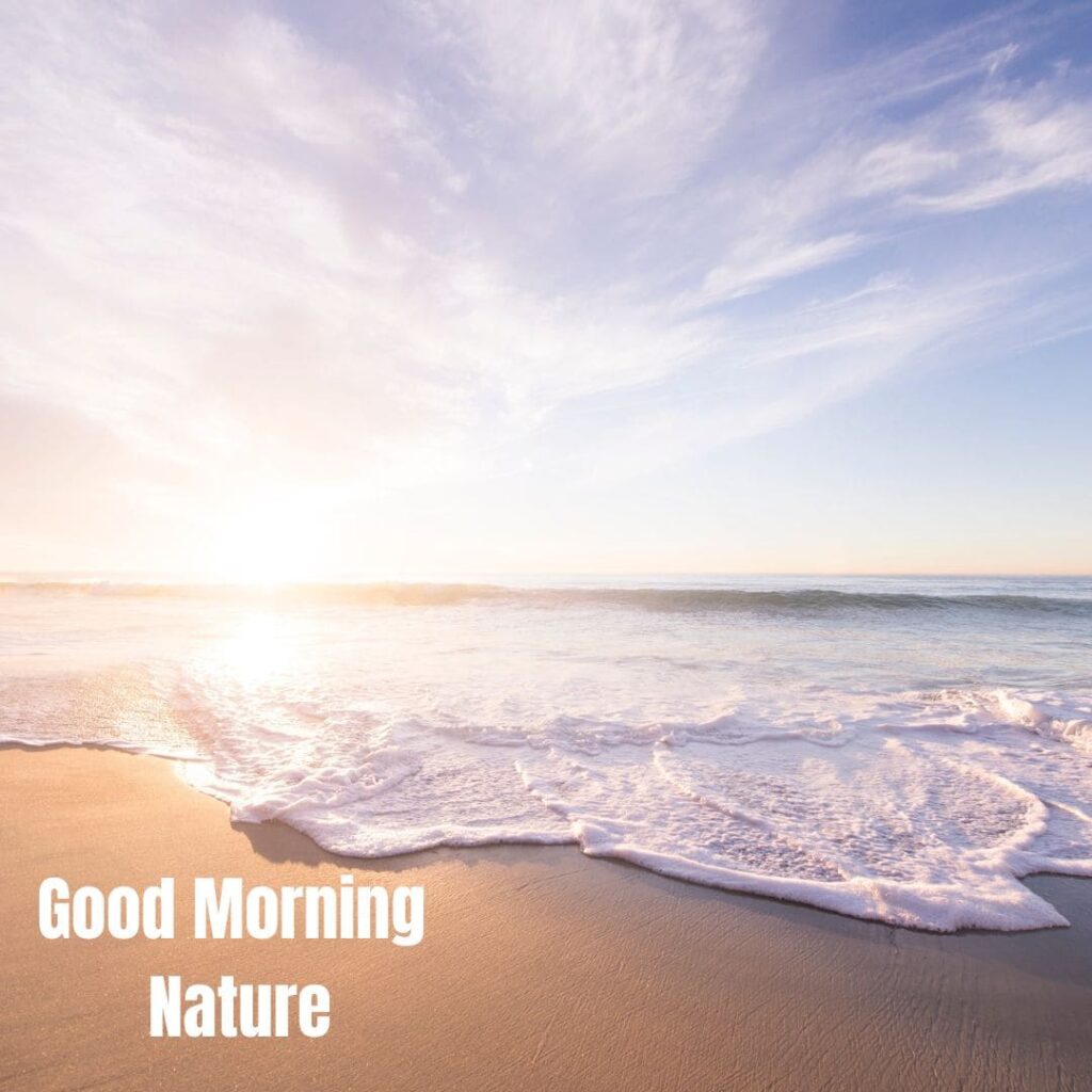 Good Morning with Nature Images