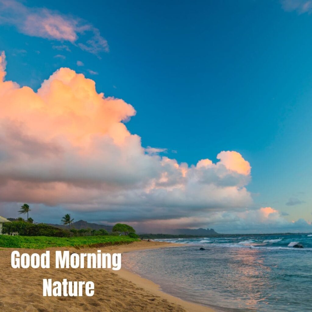 Good Morning with Nature Images