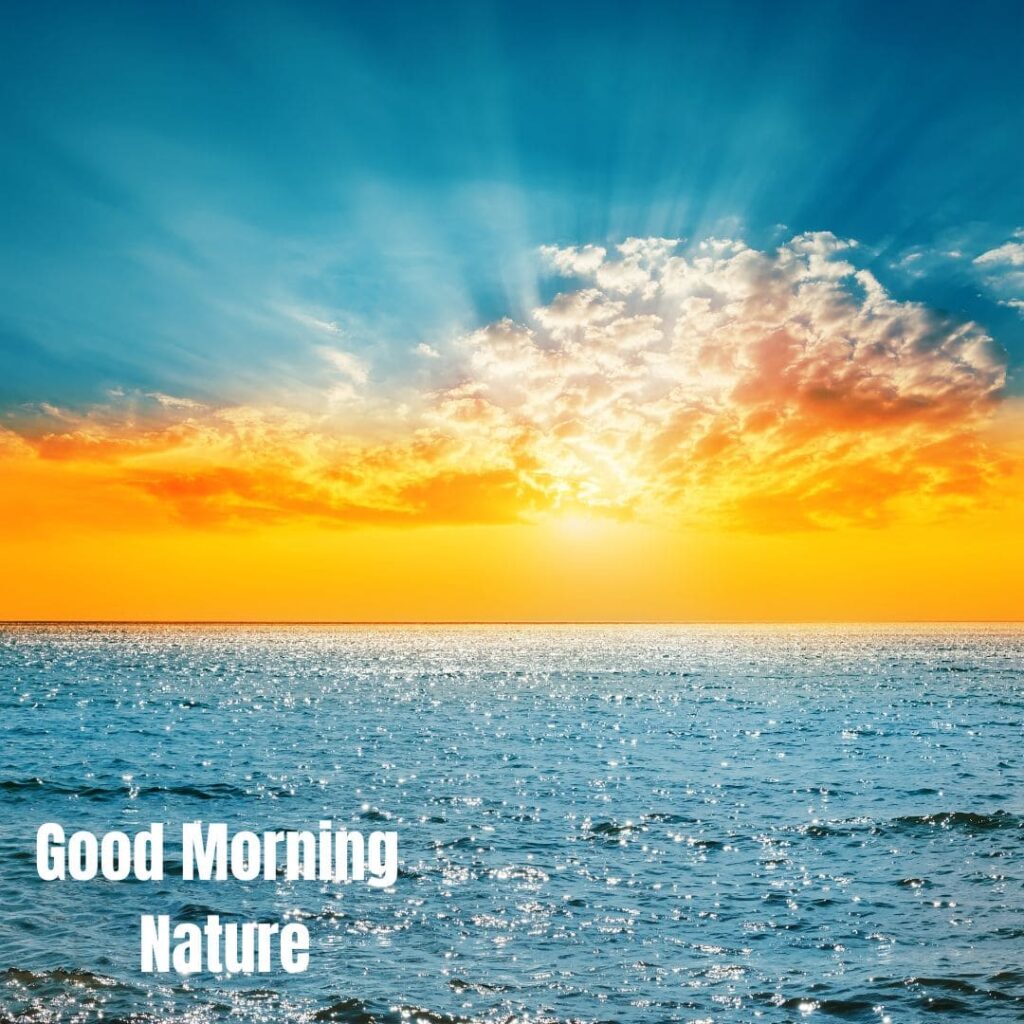 Good Morning with Nature Images