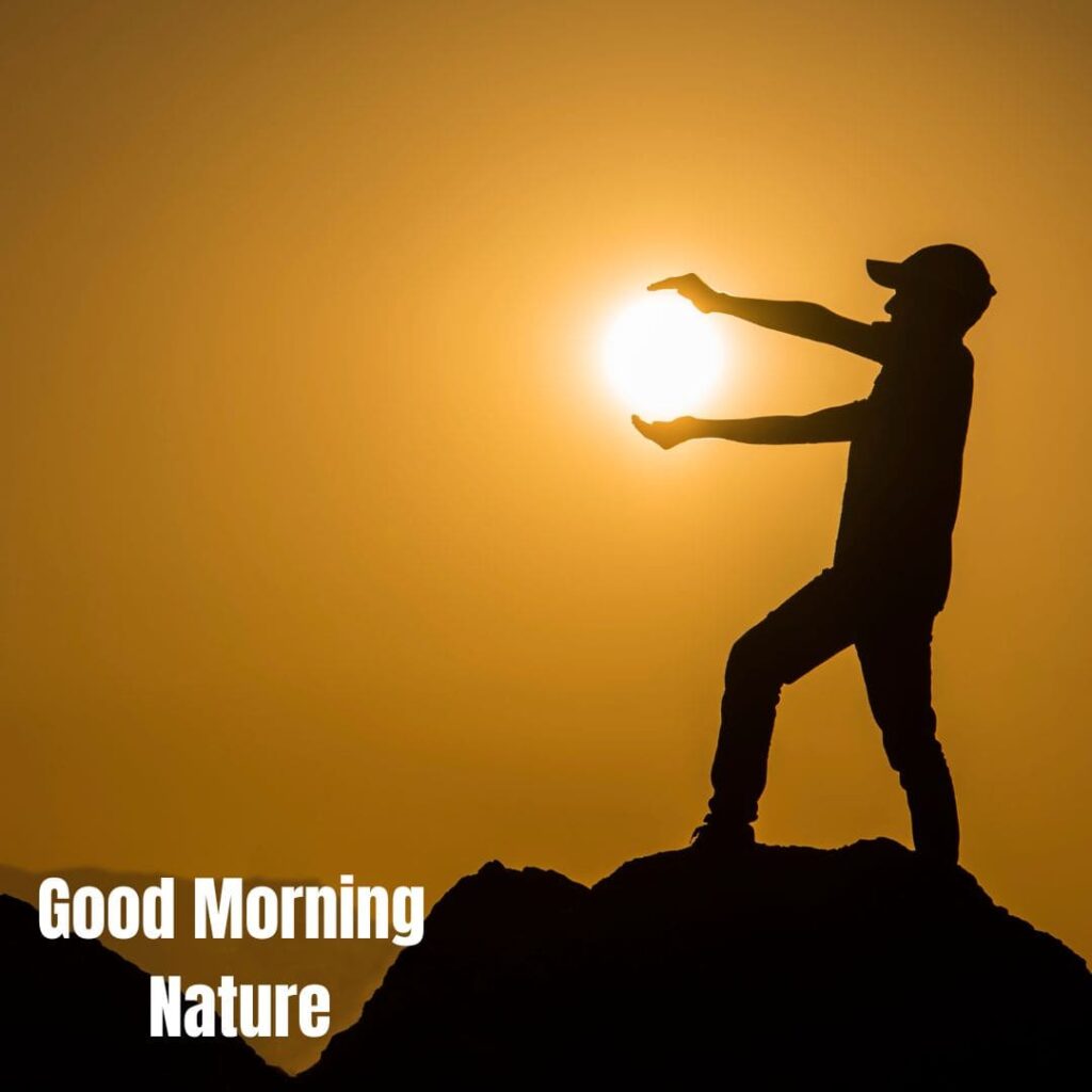 Good Morning with Nature Images