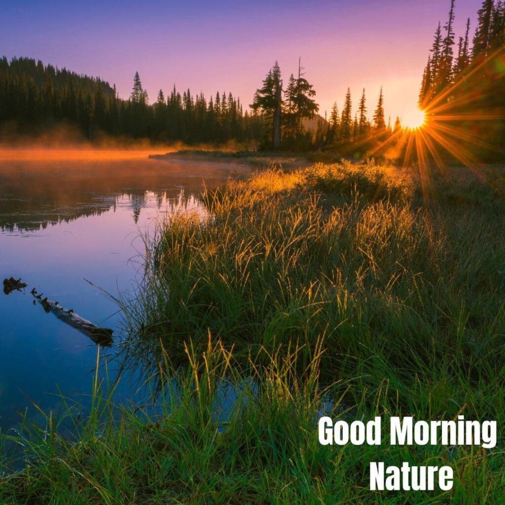 Good Morning with Nature Images