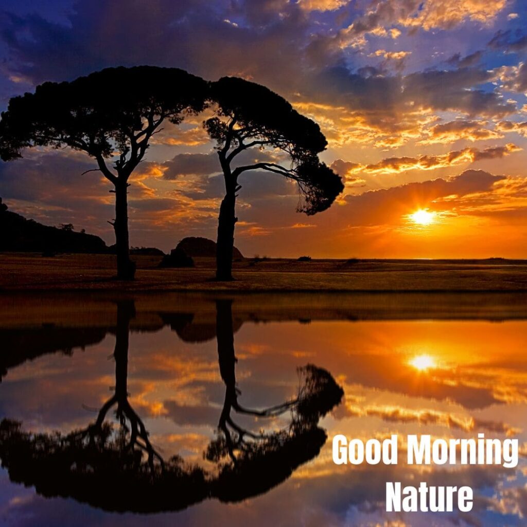 Good Morning with Nature Images