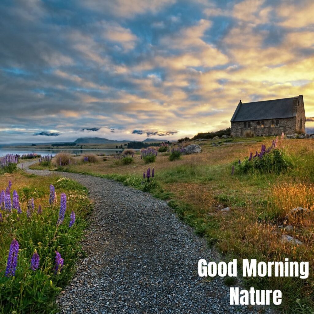 Good Morning with Nature Images