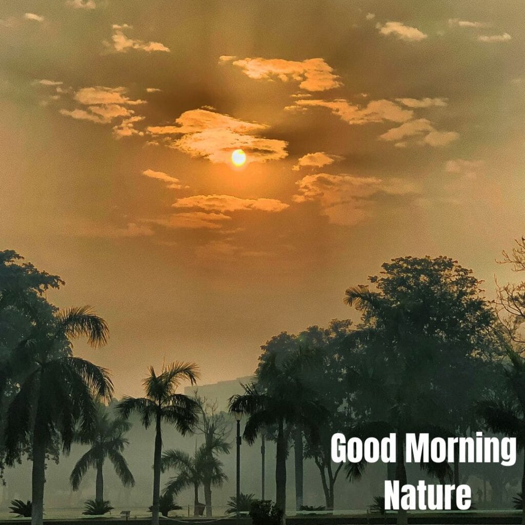 Good Morning with Nature