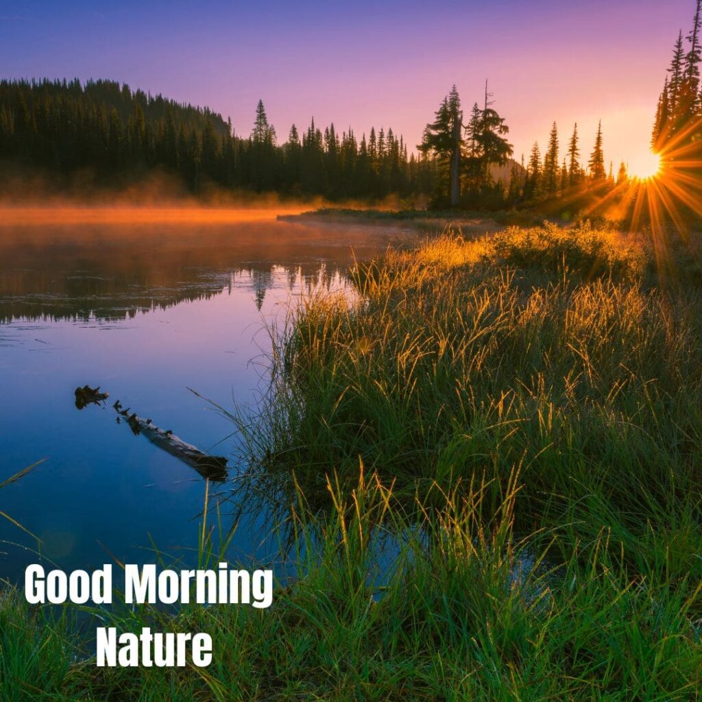 Good Morning with Nature