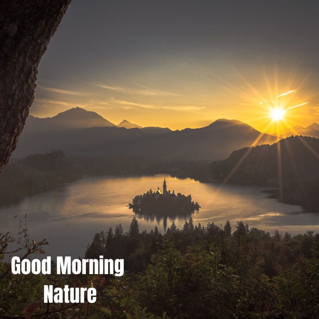 Good Morning with Nature