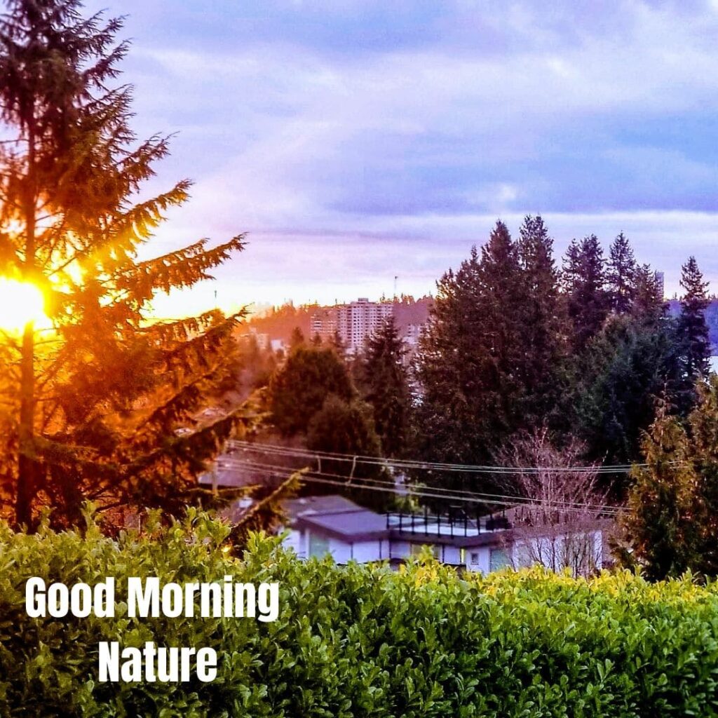 Good Morning with Nature