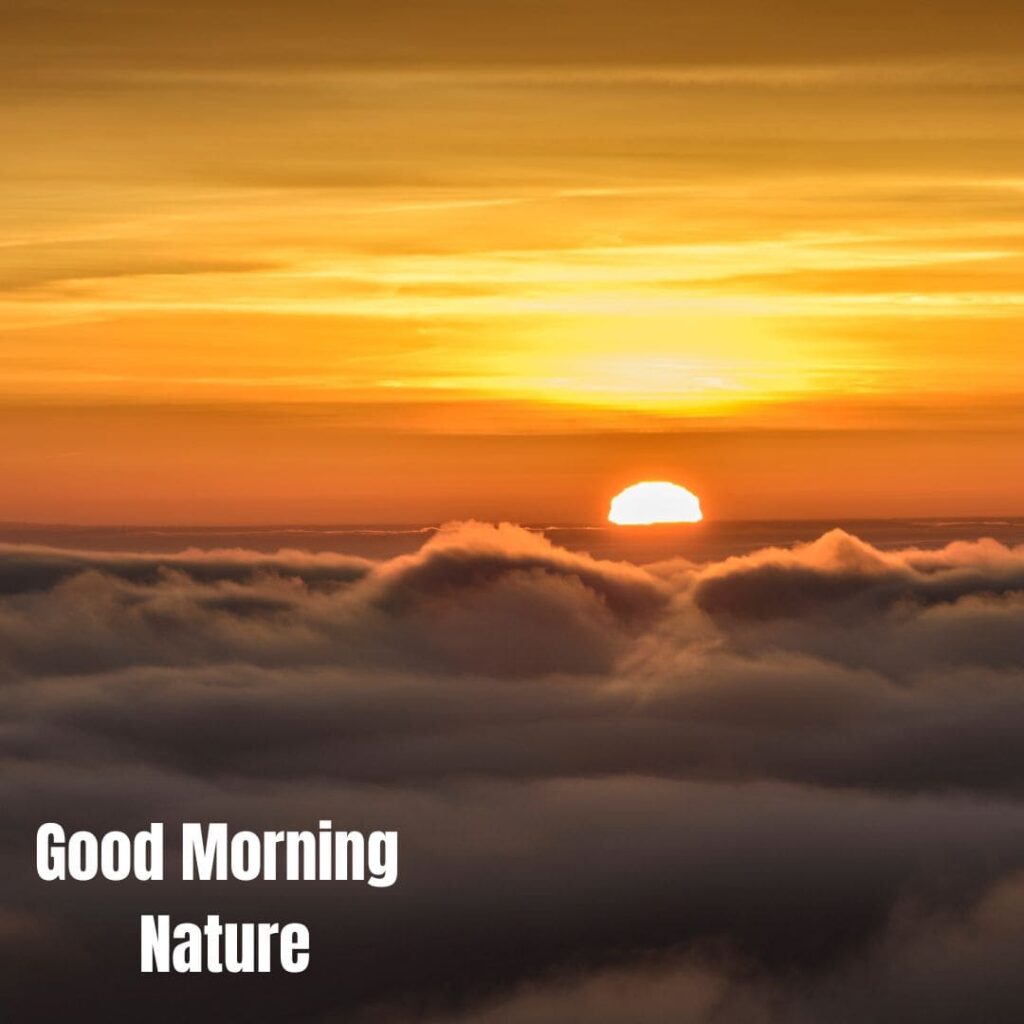 Good Morning with Nature