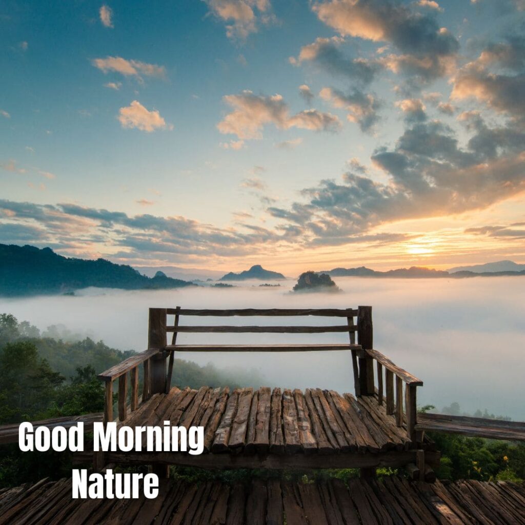 Good Morning with Nature