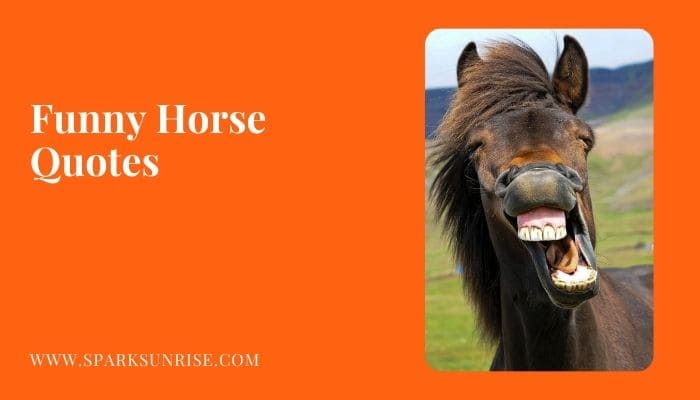 Horse Quotes