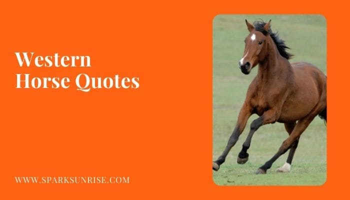 Horse Quotes